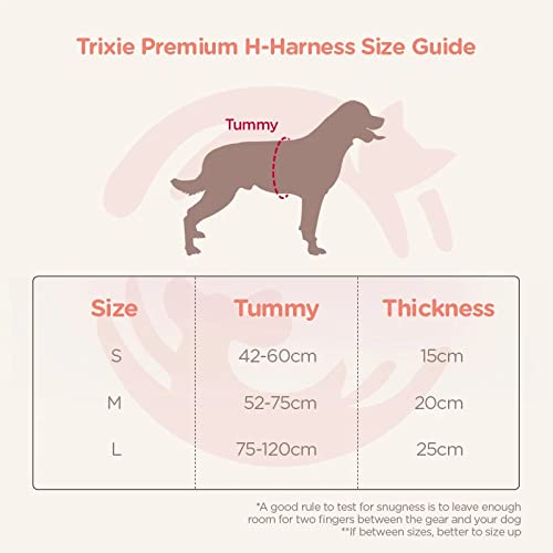 Trixie: - Premium Dog H-Harness | Made Nylon, Lightweight & Adjustable Straps | Two Snap Buckles on The Belly Strap to Easily Slip Around The Body – (75–120 cm/25 mm, L–XL), Papaya…