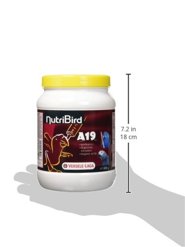 Nutribird A19 Handrearing (800 G, Multicolor) handfeeding formula for all birds