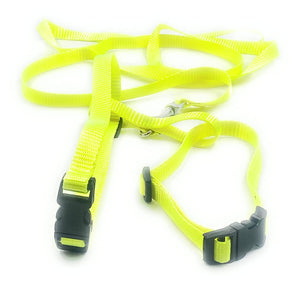 Dog Harness with Leash (Green)
