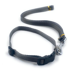 Dog Collar with Leash Half inch neon Color (Grey)
