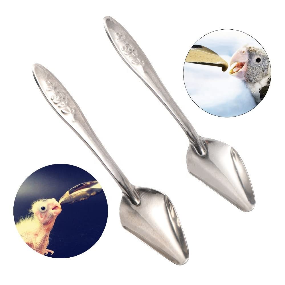 Bird Parrot Feeding Spoon Stainless Steel Medicine Spoons Hand Feeding Spoons Feeder Animals Care Tool for Pet Peony Cockatiel Rabbit Hamster Silver