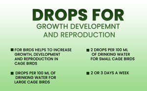Maxx-vita Drops for Exotic Birds 60ml Bird DEROPS for Growth DEVELOPEMNT and Reproduction