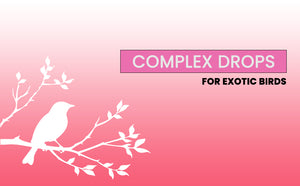 B-Co Drops for Exotic Birds 60ML B Complex Drops