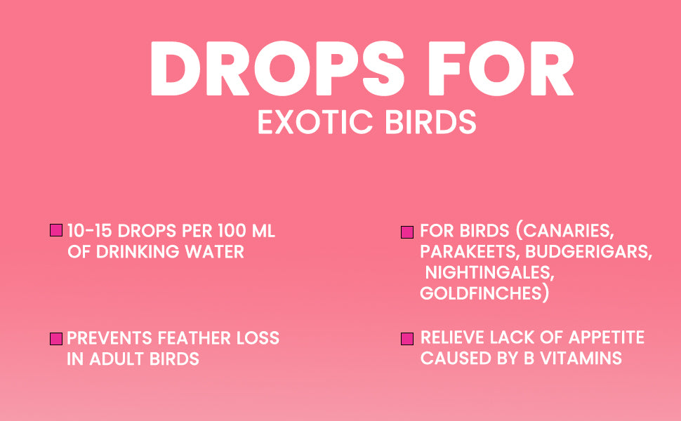 B-Co Drops for Exotic Birds 60ML B Complex Drops