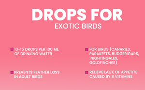 B-Co Drops for Exotic Birds 60ML B Complex Drops