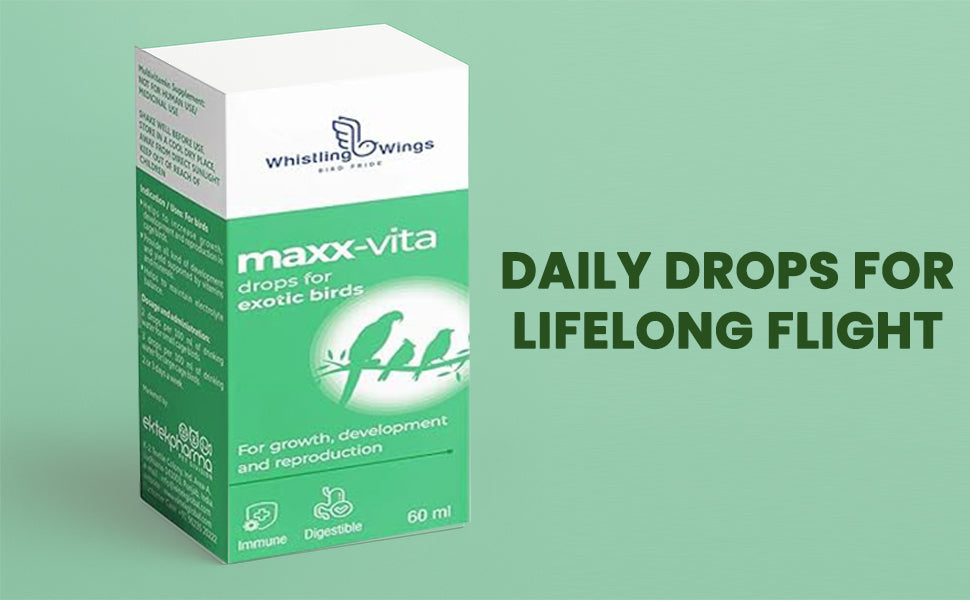 Maxx-vita Drops for Exotic Birds 60ml Bird DEROPS for Growth DEVELOPEMNT and Reproduction