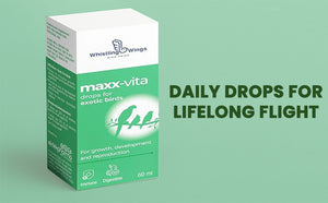 Maxx-vita Drops for Exotic Birds 60ml Bird DEROPS for Growth DEVELOPEMNT and Reproduction