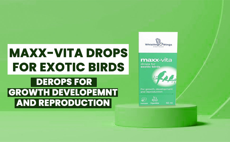 Maxx-vita Drops for Exotic Birds 60ml Bird DEROPS for Growth DEVELOPEMNT and Reproduction