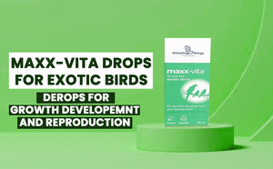 Maxx-vita Drops for Exotic Birds 60ml Bird DEROPS for Growth DEVELOPEMNT and Reproduction