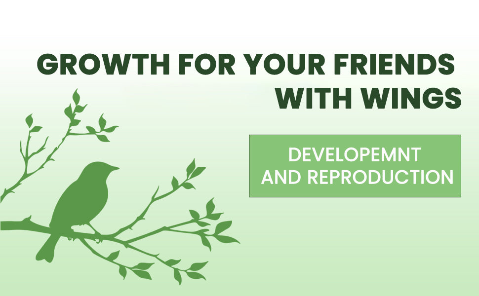Maxx-vita Drops for Exotic Birds 60ml Bird DEROPS for Growth DEVELOPEMNT and Reproduction