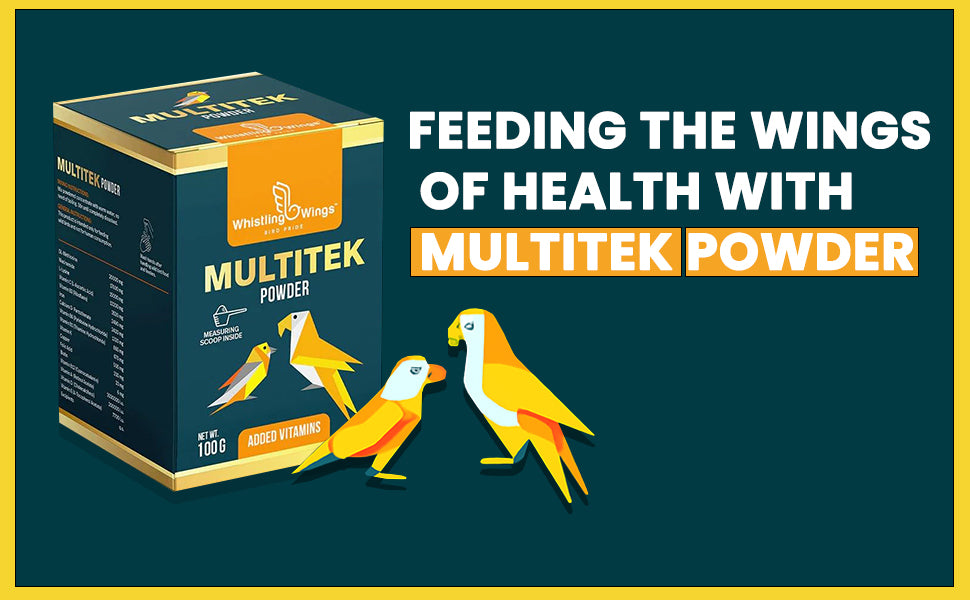 Multitek Powder 100gm