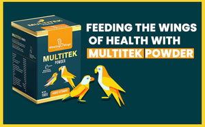 Multitek Powder 100gm