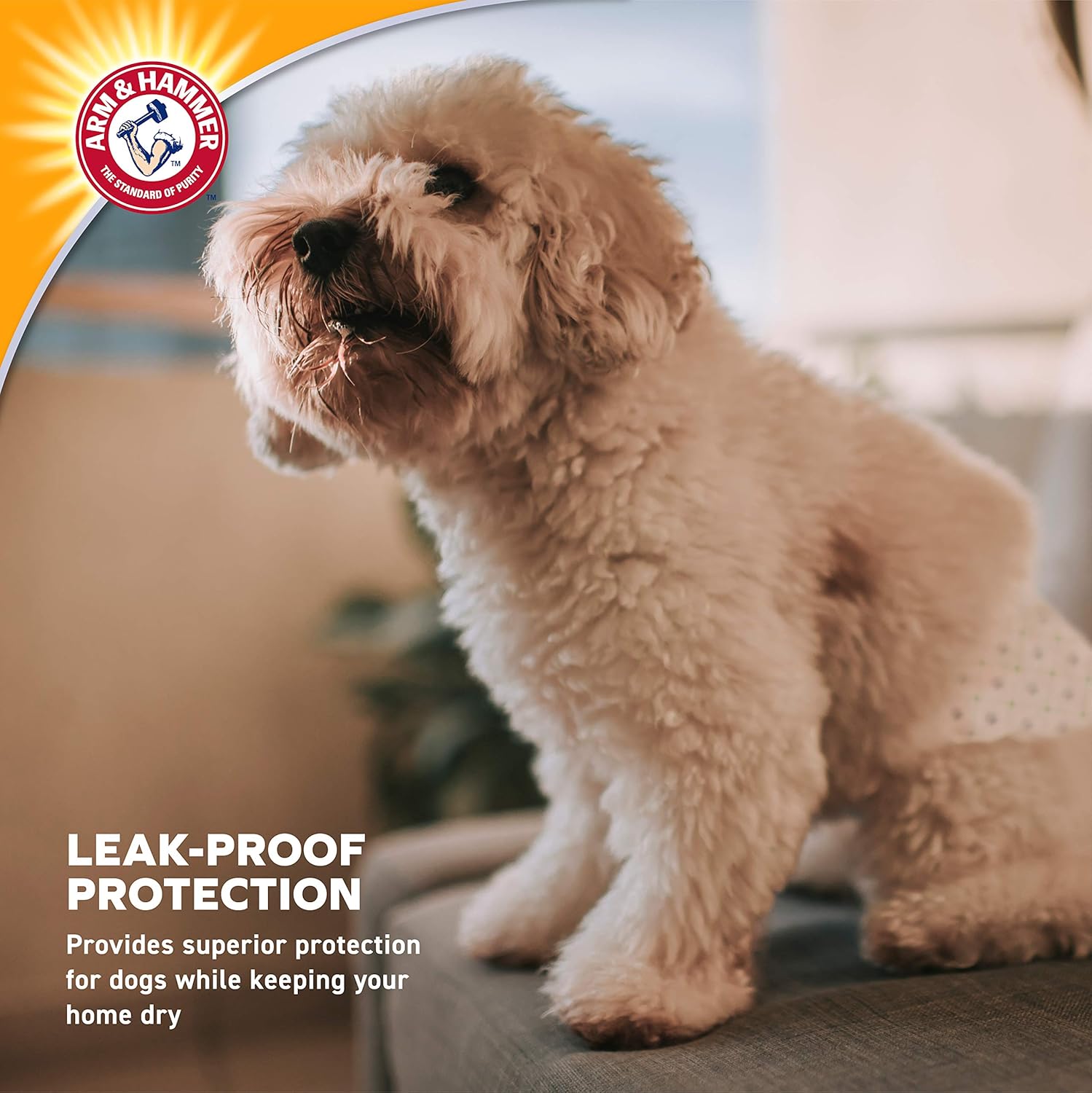 Arm & Hammer for Pets Female Dog Diapers, Size Large, 12 Count | Ultra-Absorbent, Adjustable Girl Dog Diapers with Leak-Proof Protection and Wetness Indicator