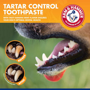 ARM and HAMMER Advanced Care Vanilla Ginger Fresh Breath Dog Strips 3-24 strips packages