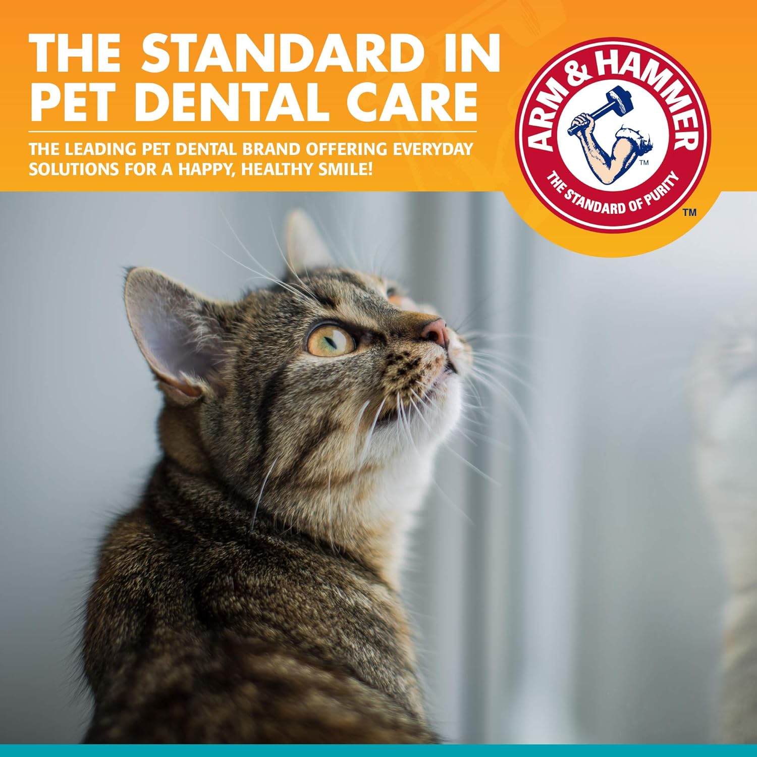 Arm & Hammer Advanced Pet Care Brush Set for Cats - Tuna Flavor