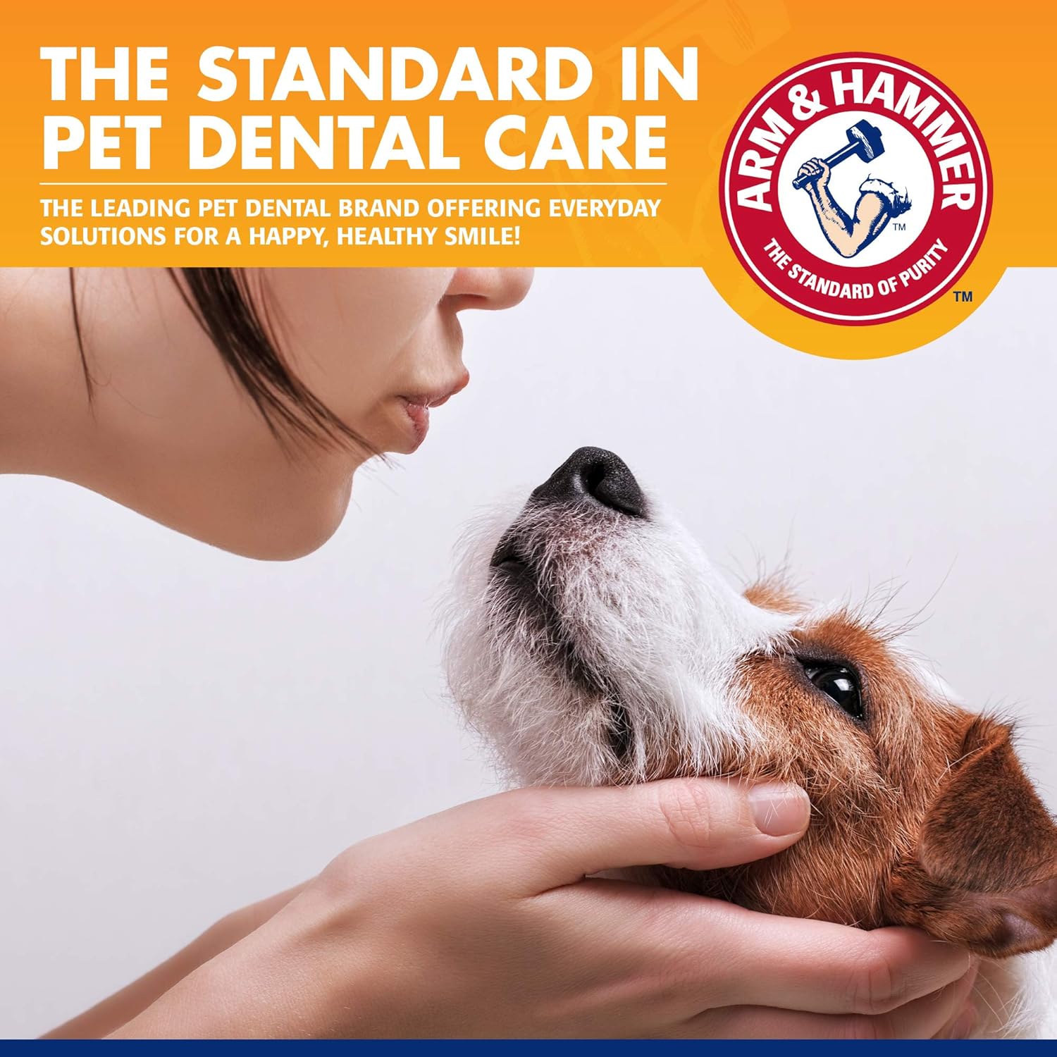 ARM and HAMMER Advanced Care Vanilla Ginger Fresh Breath Dog Strips 3-24 strips packages