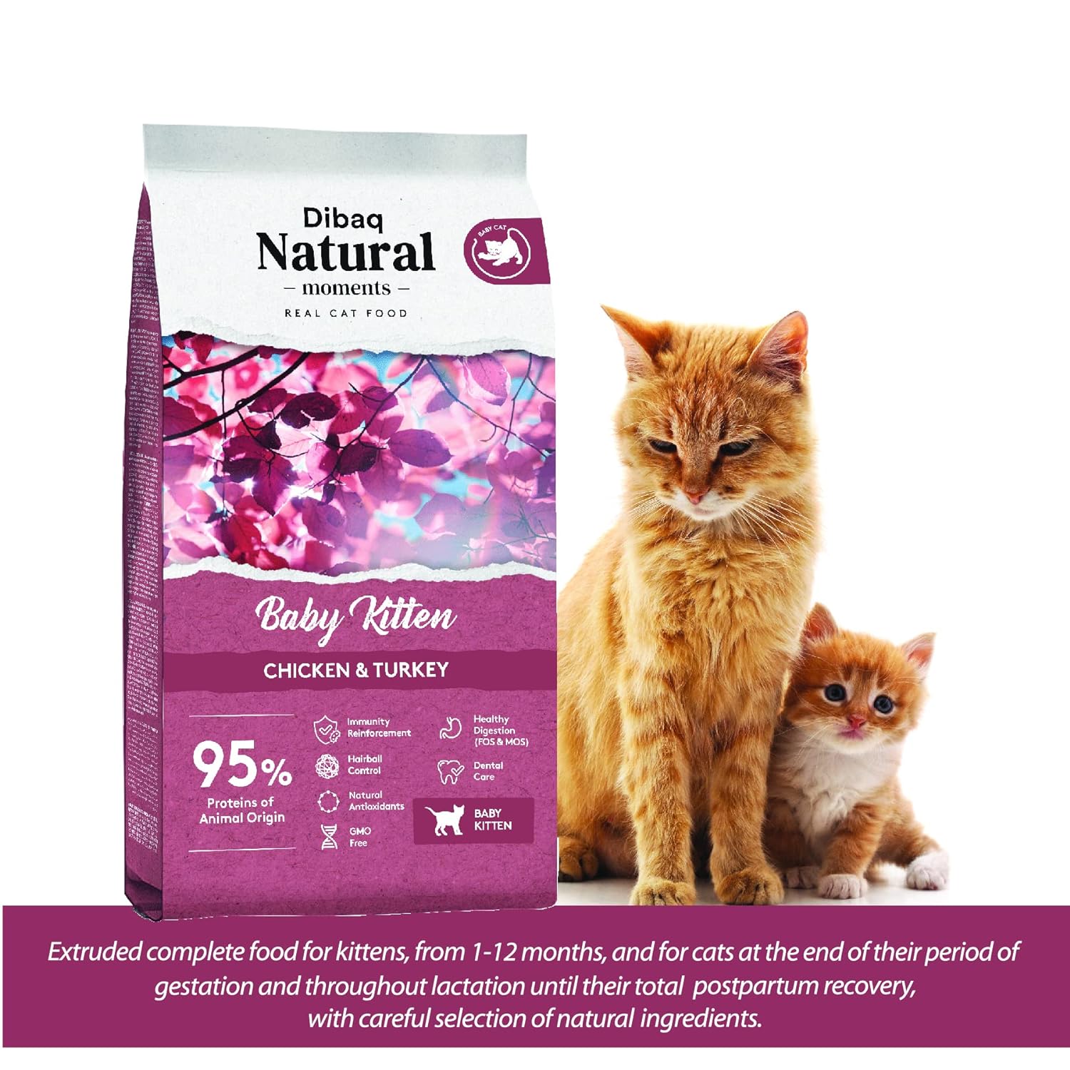 Dibaq Natural Moments (Baby Kitten Chicken & Turkey - Extruded Complete Food for Kitten, from 1-12 Months, as Well as Pregnant and lactating Adult Cats) 2kg