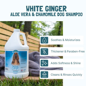 Bio-Groom Paraben Free White Ginger Skin Soothing Aloe Vera & Chamomile Dog Shampoo with the Finest Ginger Scents and Natural Aloe Vera to Moisturize and Soothe for all Coloured Coat Pets, 355ml