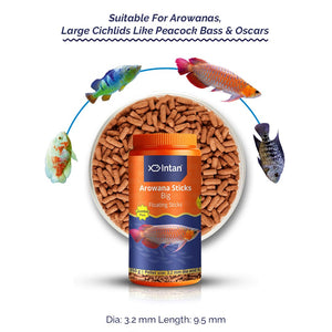 Intan Growel Arowana Sticks (Big 3.2X9.5Mm Floating) | 350Gm - Nutritious Ornamental Fish Food for Arowanas, Large Cichlids Like Peacock Bass & Oscars, All Life Stages