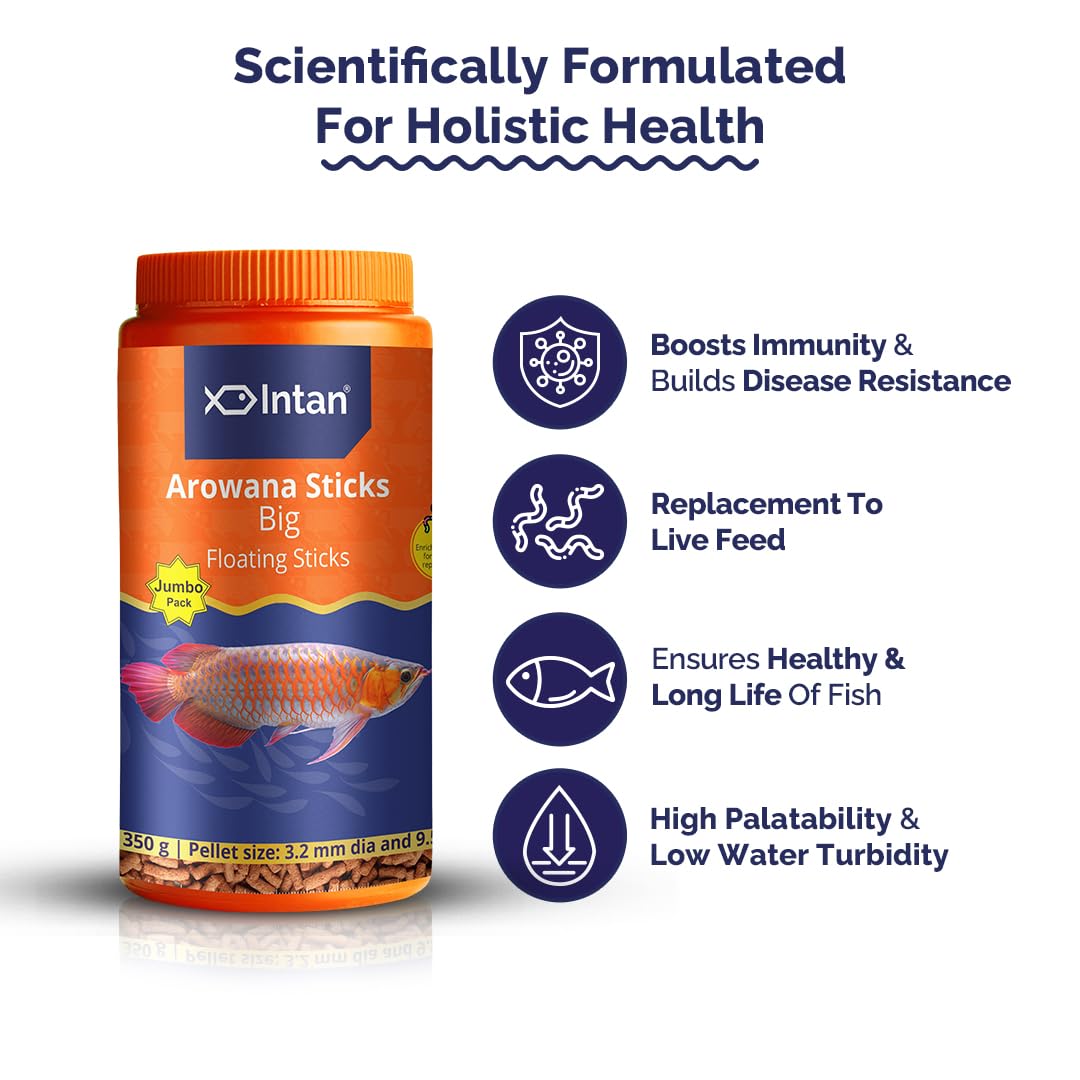 Intan Growel Arowana Sticks (Big 3.2X9.5Mm Floating) | 350Gm - Nutritious Ornamental Fish Food for Arowanas, Large Cichlids Like Peacock Bass & Oscars, All Life Stages