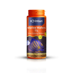 Growel Intan Marine Wafers (Big 1.7mm Slowly Sinking) | 160gm - Highly Nutritious Ornamental Fish Food for Marine Angels, Clownfish, Royal Gramma & Clown Trigger