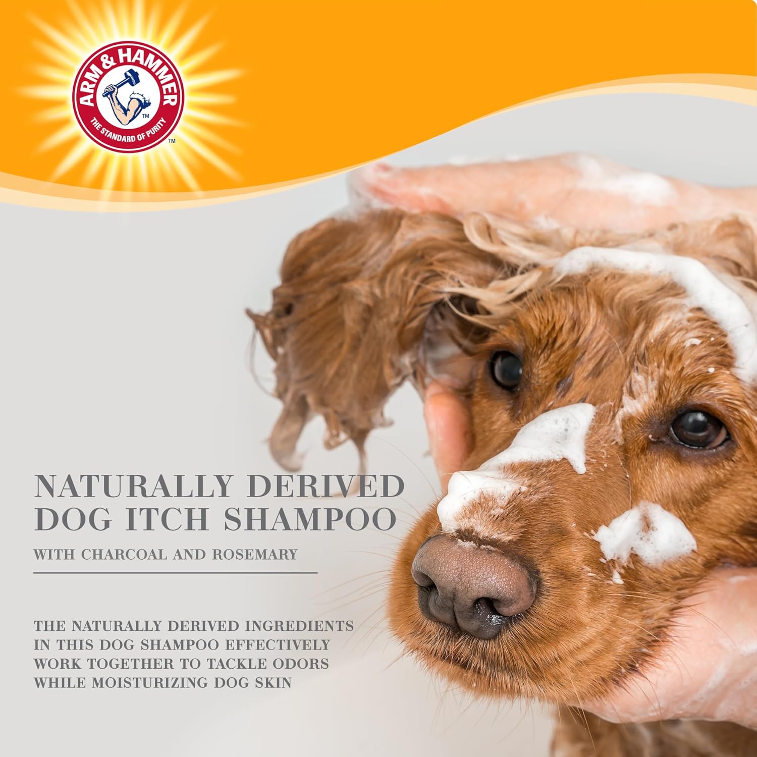 Arm & Hammer for Pets Ultra Fresh Deep Cleansing Dog Shampoo with Charcoal & Rosemary, Value Size 24oz | Great Smelling Pet Grooming and Bathing Supplies, Puppy Wash