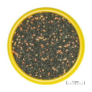 JBL PRONOVO Guppy Flakes S Aquarium Staple Food Flakes in Size S for Guppies & Other livebearers from 3-10 cm