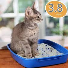 Silicon Crystal Cat Litter 1.6 Kg Pack premium cat litter