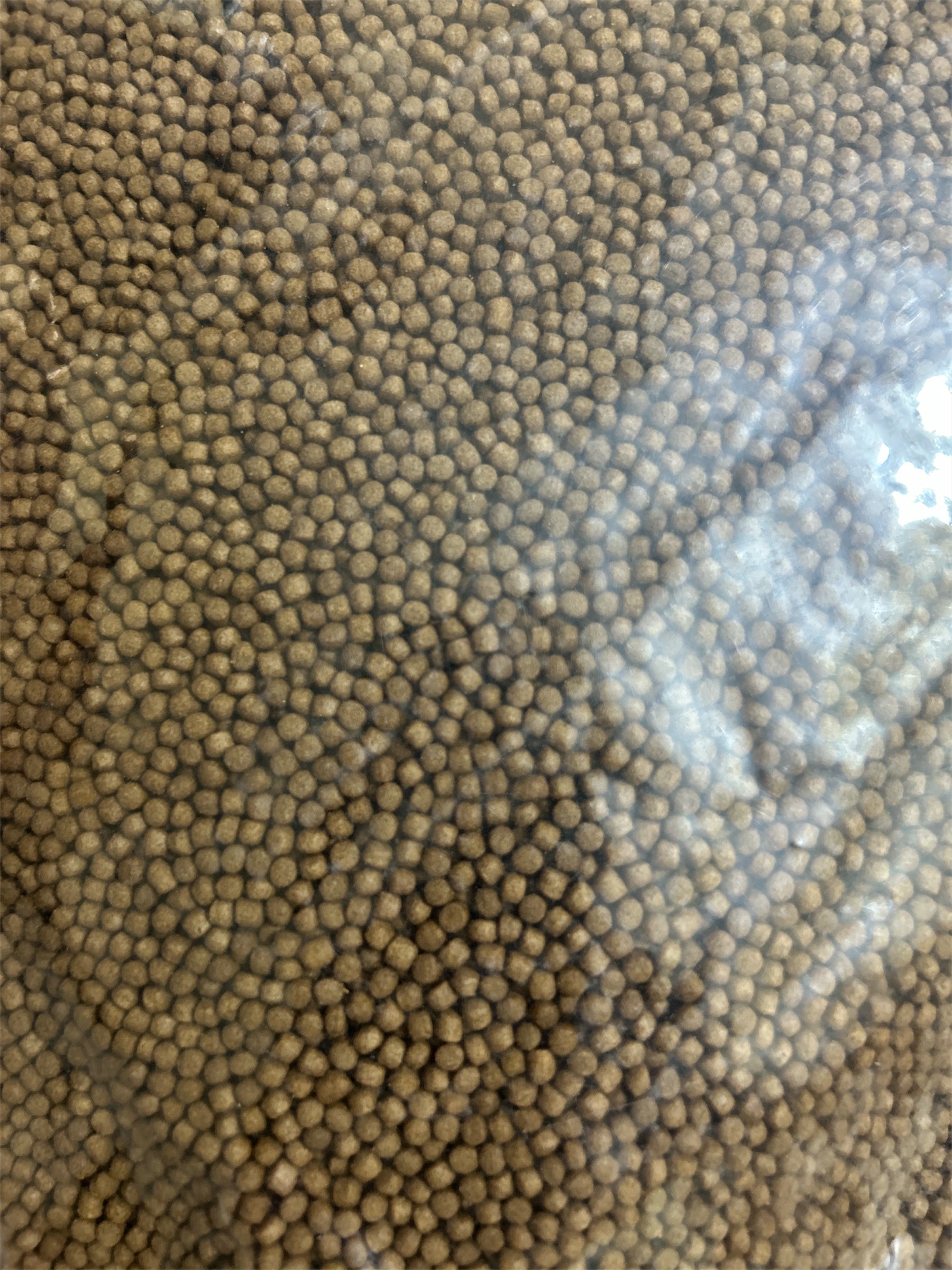 Gene Eleven Cichlid nutri pro Aquarium Fish Feed 1 kg