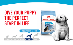 Royal Canin Maxi Puppy, 1 kg