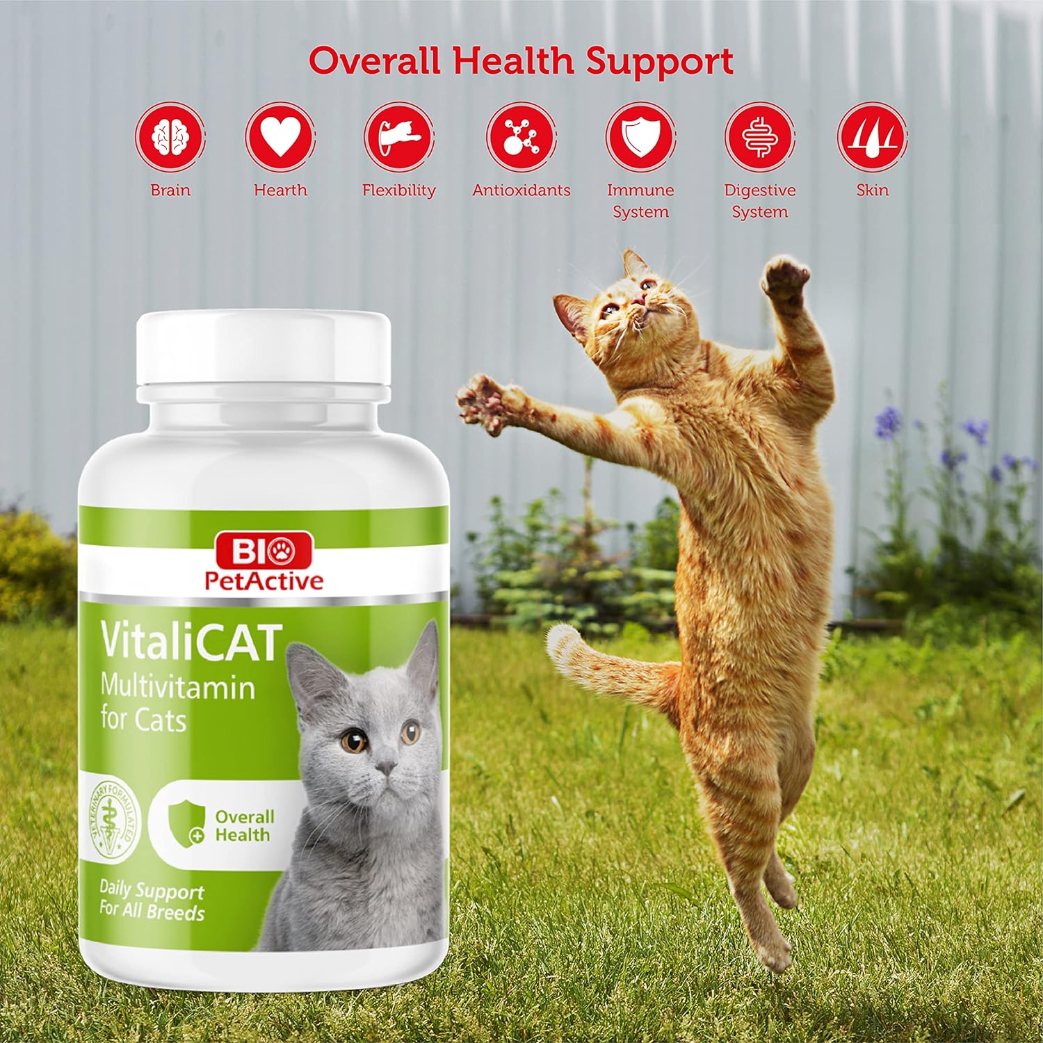 Vitalicat 0,5 g 150 tab…