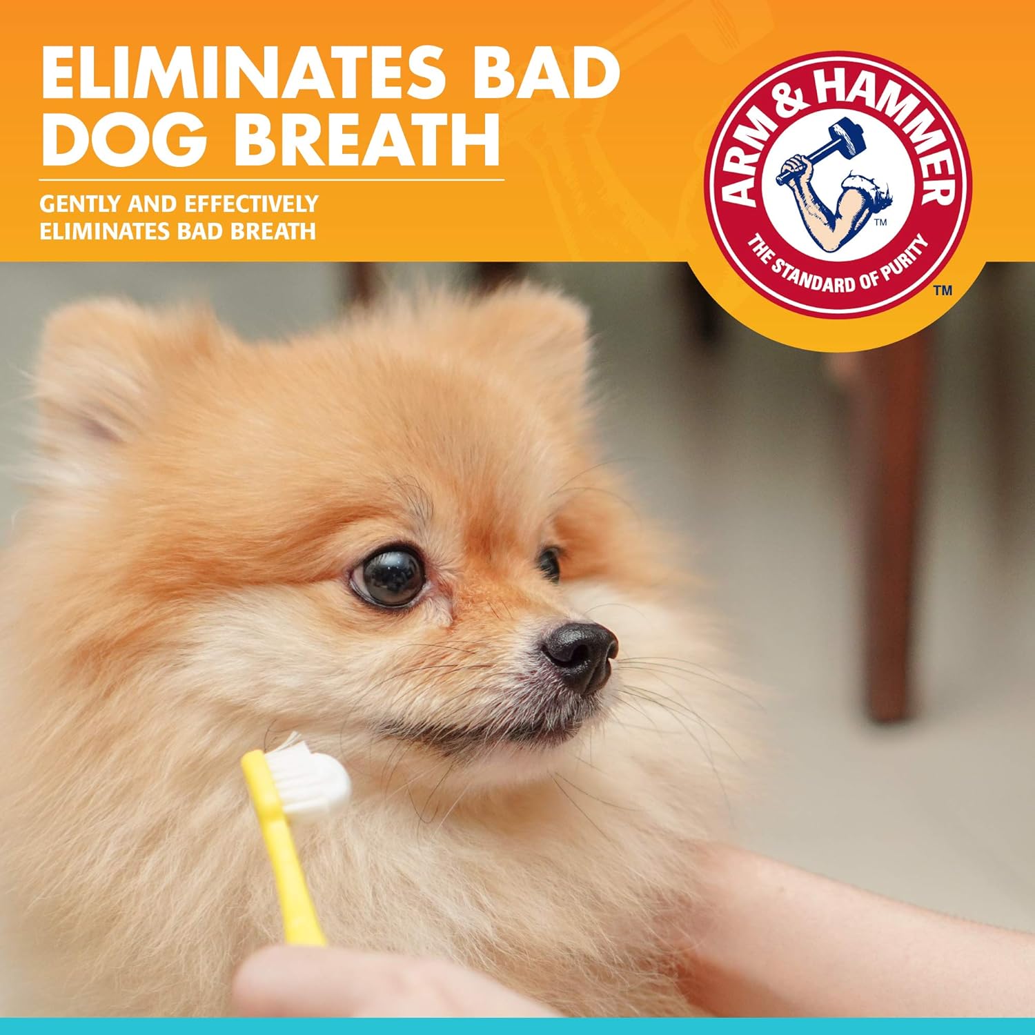 Arm & Hammer Clinical Care Enzymatic Toothpaste Gel - Vanilla Ginger