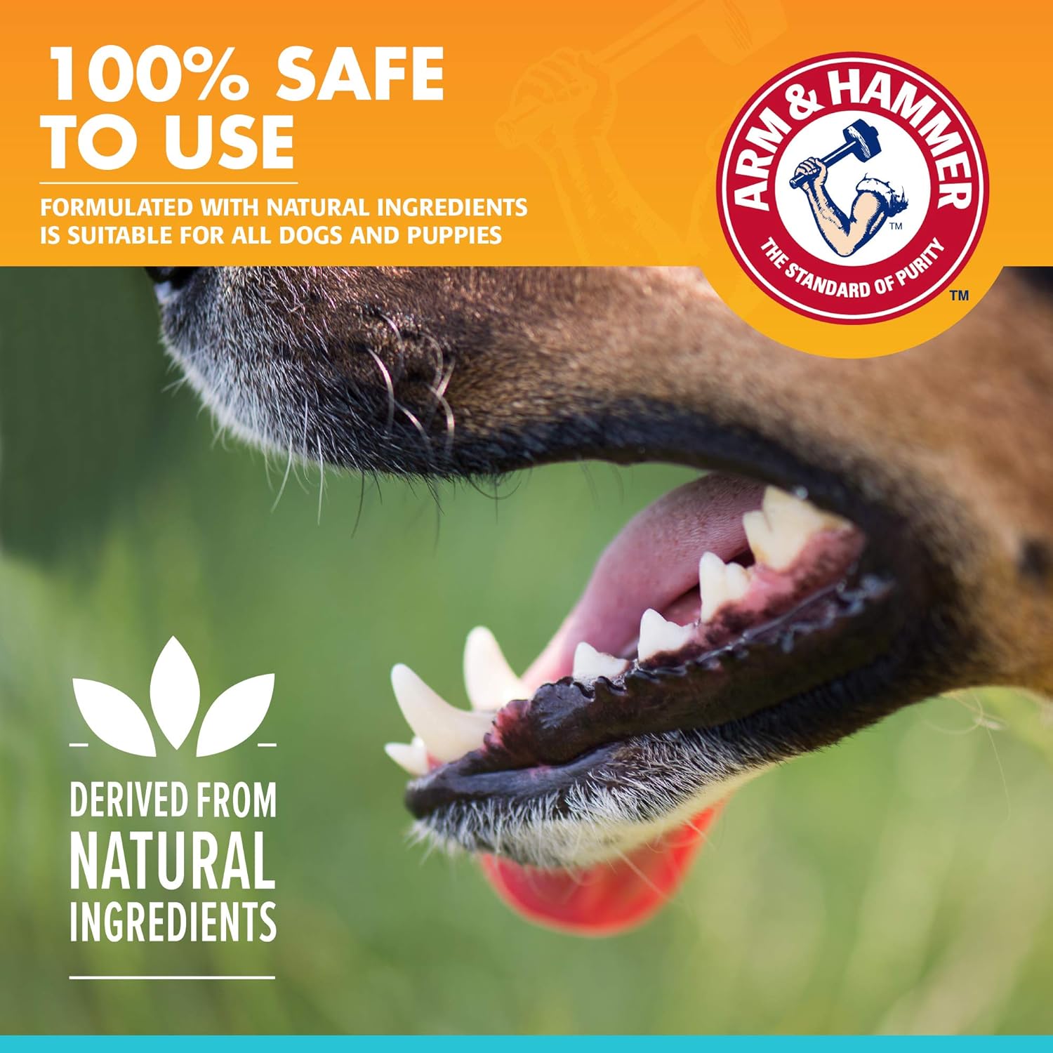 Arm and Hammer Advanced Care Fresh Breath and Whitening Toothpaste for Dogs