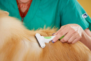 Andis 65760 Deshedding Tool For Cats & Dogs - Reduces Shedding Up To 90% - Quick & Clean Grooming - Skin-Friendly Dematting Brush With Non-Slip Rubber Handles