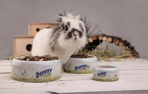 Bunny Nature Aid - 120 G | Natural Support for Rabbits | Herbal Supplement for Digestive Health, Immune Boost, and Overall Wellness