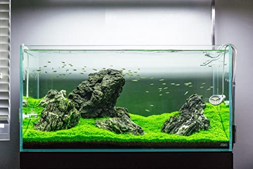 CO2 Tablet for Aquarium Plants Water Conditioner for Aquarium Plants, CO2 Tablet Carbon Dioxide for Plants Aquarium Fish Tank Diffuser Plant 36pcs