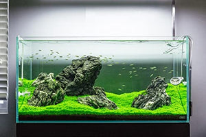 CO2 Tablet for Aquarium Plants Water Conditioner for Aquarium Plants, CO2 Tablet Carbon Dioxide for Plants Aquarium Fish Tank Diffuser Plant 36pcs