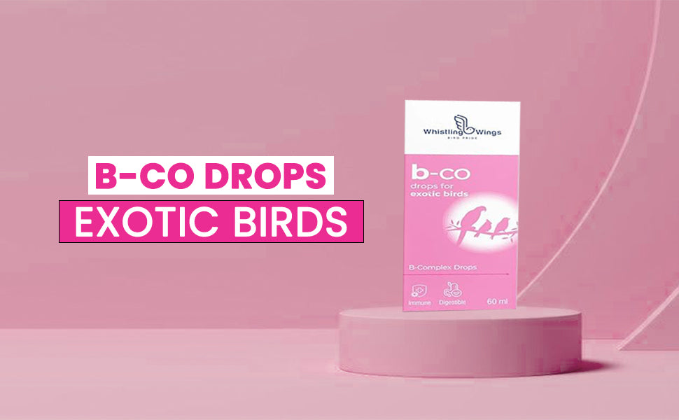 B-Co Drops for Exotic Birds 60ML B Complex Drops