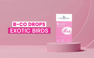 B-Co Drops for Exotic Birds 60ML B Complex Drops