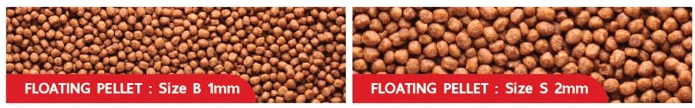 Deep Insect Inside (Cricket) for High Protein Super Premium Gold Fish Formula for High Growth & Colour Enhancing Floating Small Pellet 100gm