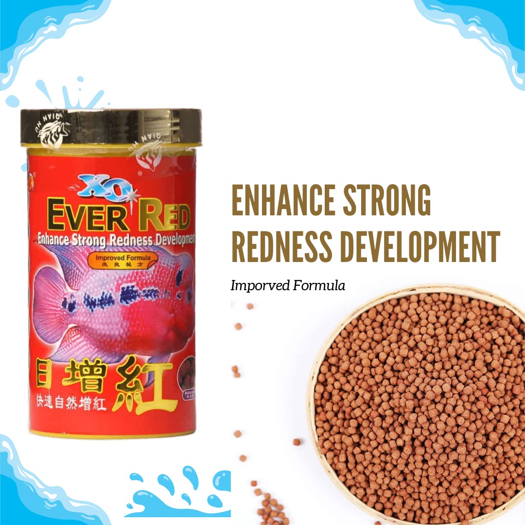 Ocean Free XO Ever Red (Original) Fish Food, 280ML/100G | Enhance Strong Redness Development for Flowerhorn Fish…