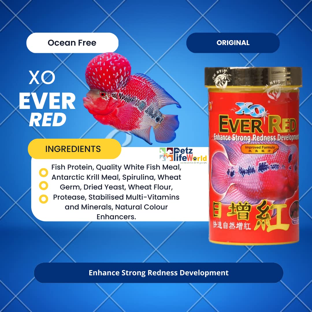 Ocean Free XO Ever Red (Original) Fish Food, 280ML/100G | Enhance Strong Redness Development for Flowerhorn Fish…