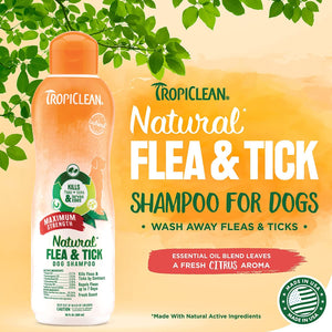 TropiClean Natural Flea & Tick Maximum Strength Shampoo for Dogs, Pet Safe Treatment Prevent and Kills up to 99% of Fleas, Soap Free, Essential Oils Added, 355 ml…