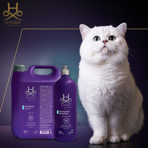 Hydra: - Groomer's Whitening Shampoo for Cats and Dogs | Contains an Optical Brightener That Reduces The Yellow in The Coat | Oatmeal Extract Moisturizes and Softens The Coat – 5 Litre