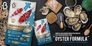 Boost Super Premium Koi Fish Food with Squid Liver Meal, for Growth & Muscle Oyster Formula Large 8mm Pellet 1.5kg