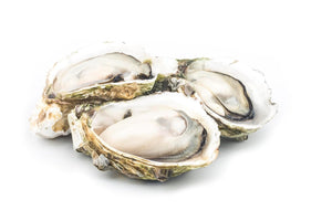 Boost Super Premium Koi Fish Food with Squid Liver Meal, for Growth & Muscle Oyster Formula Medium 5mm Pellet 1.5kg