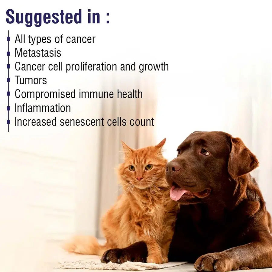 MPS Liposomal Apigenin 500mg 10tabs for Dogs