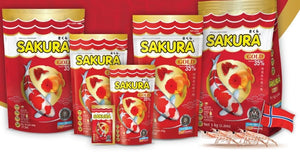 Sakura Gold Super Premium Fish Food with Vitamin Complexes + Krill & Astaxanthin in Medium 4mm Pellet 500gm