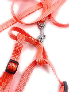 Dog Harness with Leash (Orange)