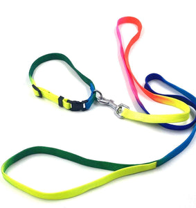 Gorilla Pets Rainbow Color Designed Belt for Your Puppy & Small Dog Collar Belt, Dog Collar & Leash